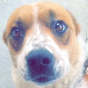 Meet your Posher, Jaylan